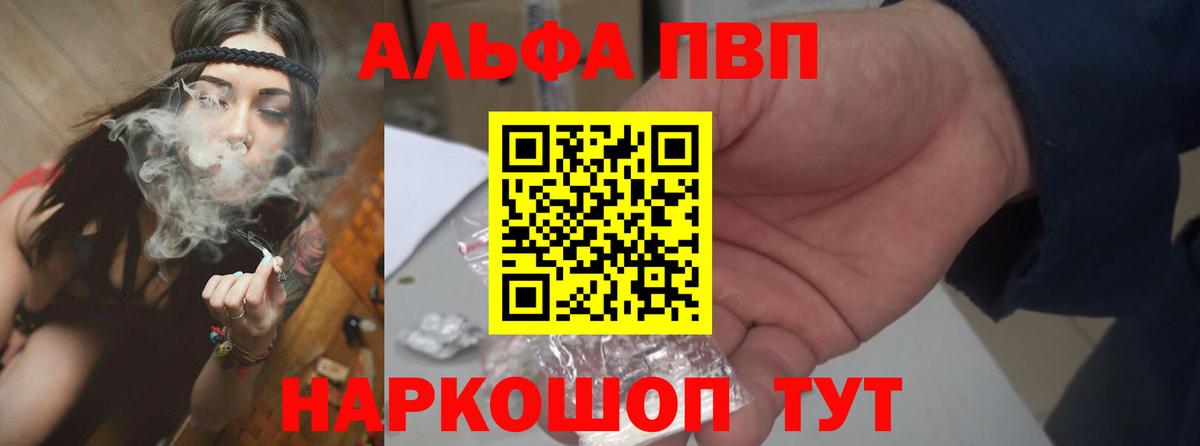 Альфа ПВП СК КРИС Благодарный