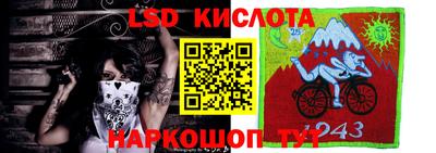 индика Дмитров