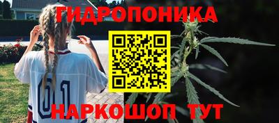 индика Дмитров